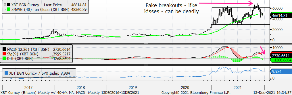 Chart

Description automatically generated with medium confidence